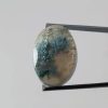 Scenic dendritic agate
